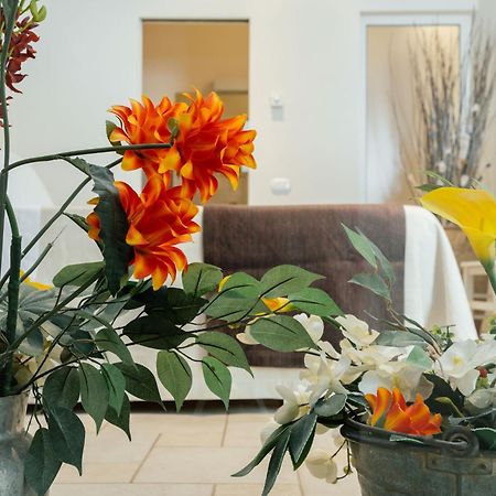 Il Claustro - Bed And Breakfast Altamura Exterior foto